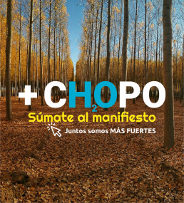 el chopo es uno de los mayores fijadores de CO2 al ambiente, debido a su rápido crecimiento y fijándolo en productos con un largo ciclo de vida.