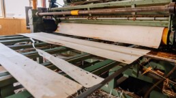 Desenrollo del tronco de chopo