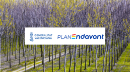 Una manera de hacer europa (