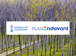 Una manera de hacer europa (