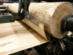desenrollo de chopo calidad de madera